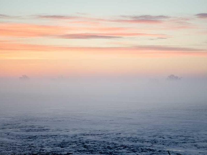 Cover image for Harmony Hills Systems Farm